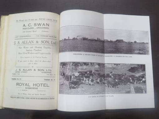 Jubilee of the Civic Government Borough of Gisbourne and County of Cook 1877 - 1927 - Image 7