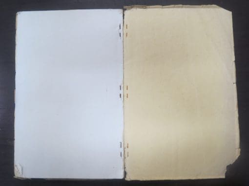 Jubilee of the Civic Government Borough of Gisbourne and County of Cook 1877 - 1927 - Image 4