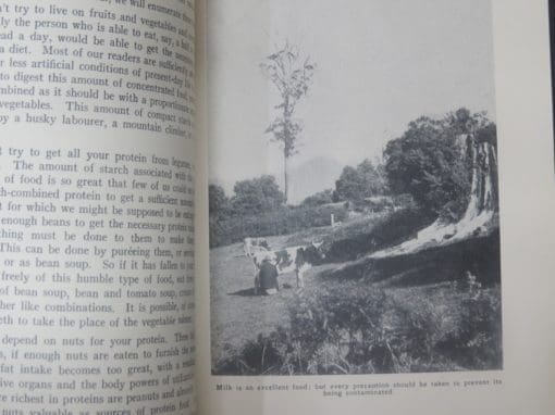 Belle Wood-Comstock, Three Times A Day - Image 5