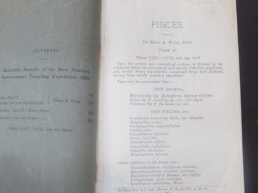 Records of the Canterbury Museum Vol. 1., No. 3. - Image 10