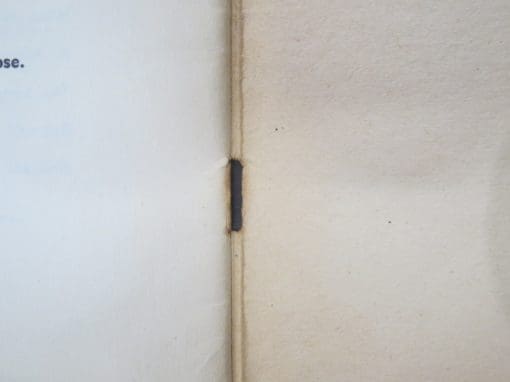 Doris DeMent, Doris Dunning, Childhood Poems, Illustrated - Image 3