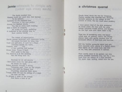 Christopher Morgan, Anarchist in the Rose Garden - Image 4