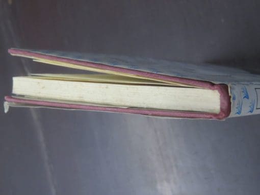 Thames Gold Fields Miner's Guide 1868 - Capper Reprint - Image 11
