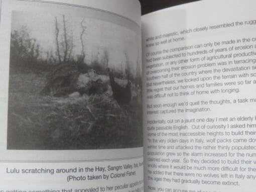 Mark Batistich, The Story of LuLu - Image 3