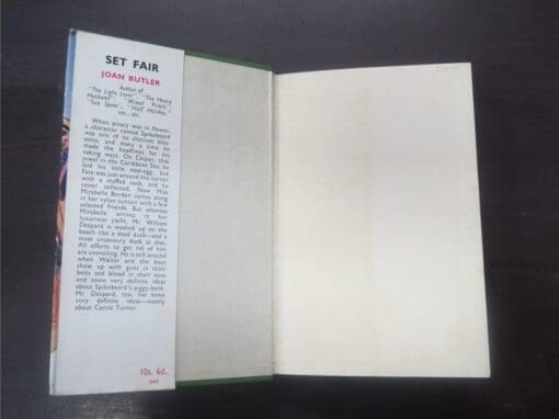 Joan Butler, Set Fair - Image 8