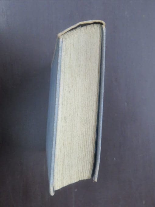 Francis Beeding, The Norwich Victims - Image 14