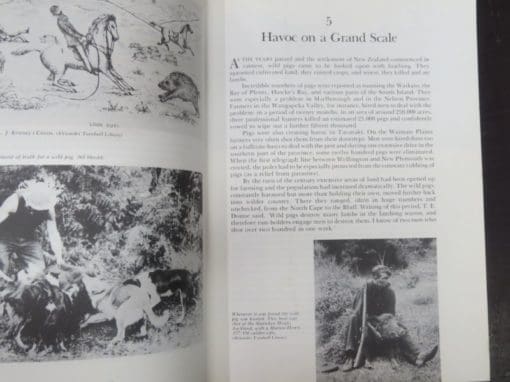 Philip Holden, The Wild Pig In New Zealand - Image 4