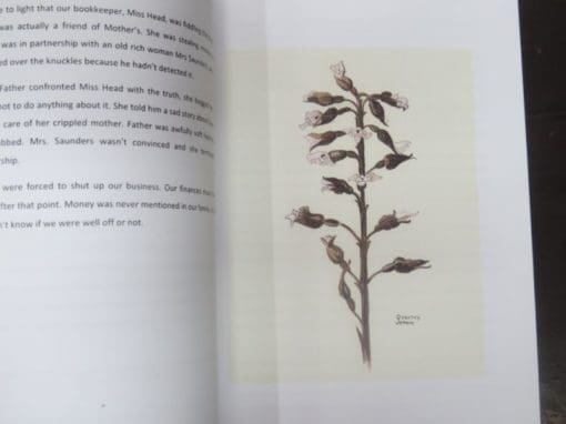 Eve Ritchie, Naomi Miller, Conversations with Dorothy Jenkin - Image 5