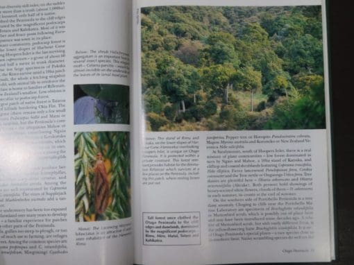 Neville Peat, Brian Patrick, Wild Dunedin, Enjoying the Natural History of New Zealand's Wildlife Capital - Image 5