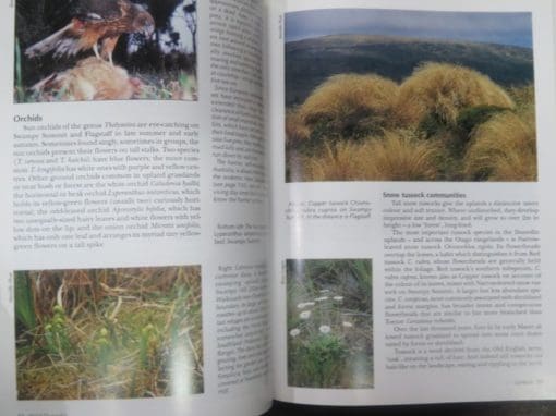 Neville Peat, Brian Patrick, Wild Dunedin, Enjoying the Natural History of New Zealand's Wildlife Capital - Image 4