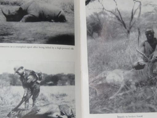 Thomas S. Arbuthnot, Grand Safari - Image 5