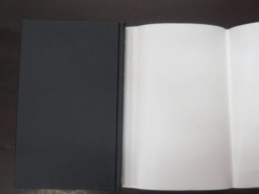 Mary Gaitskill, Bad Behaviour : Stories - Image 3