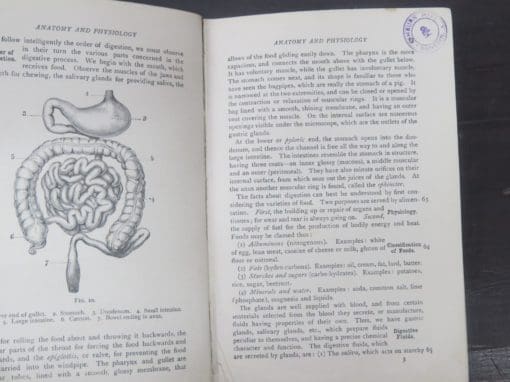 Handbook For Attendants On The Insane - Image 6