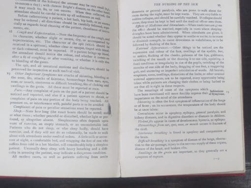 Handbook For Attendants On The Insane - Image 4
