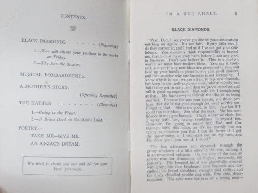 Herbert Scanlon, Digger Stories in a Nut Shell - Image 5