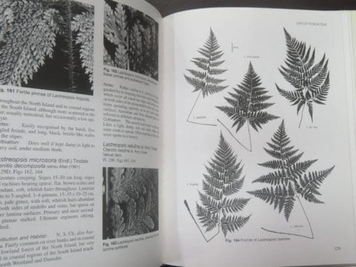Patrick J. Brownsey, John C. Smith-Dodsworth, New Zealand Ferns and Allied Plants, New Revised Edition - Image 9