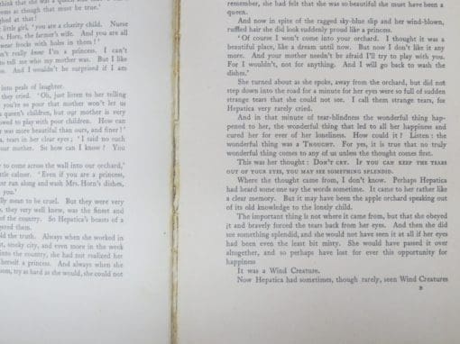 Ethel Cook Eliot, The House Above The Trees, Drawings by Anne Anderson - Image 8