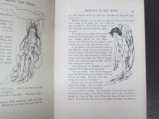 Ethel Cook Eliot, The House Above The Trees, Drawings by Anne Anderson - Image 7
