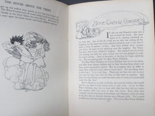 Ethel Cook Eliot, The House Above The Trees, Drawings by Anne Anderson - Image 6
