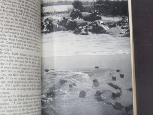 E. Temple-Perkins, Kingdom of the Elephant - Image 8