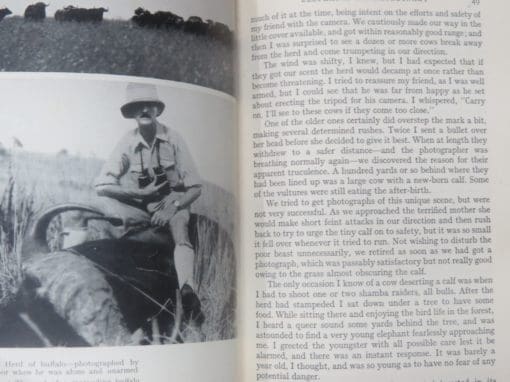 E. Temple-Perkins, Kingdom of the Elephant - Image 7