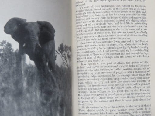 E. Temple-Perkins, Kingdom of the Elephant - Image 6