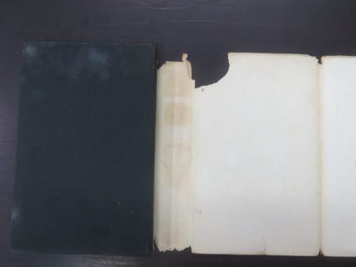 E. Temple-Perkins, Kingdom of the Elephant - Image 3