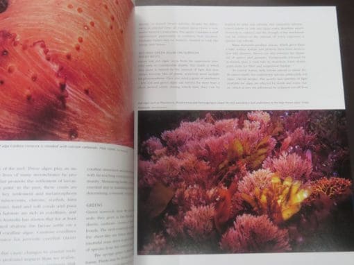 Neil Andrew, Malcolm Francis, eds., The Living Reef, The Ecology of New Zealand's Rocky Reef - Image 6