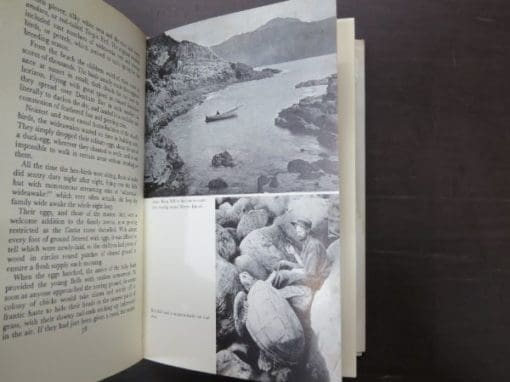 Elsie K. Morton, Crusoes of Sunday Island (Reed, Wellington) - Image 7