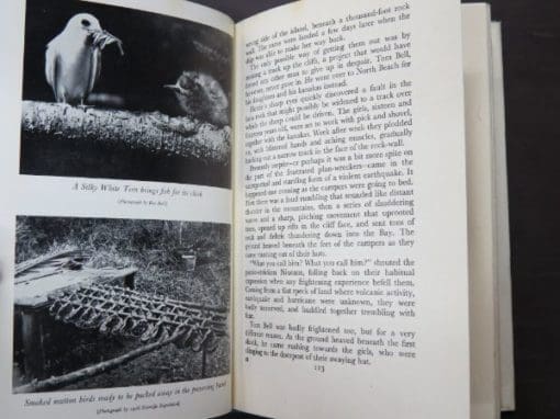 Elsie K. Morton, Crusoes of Sunday Island (London) - Image 7