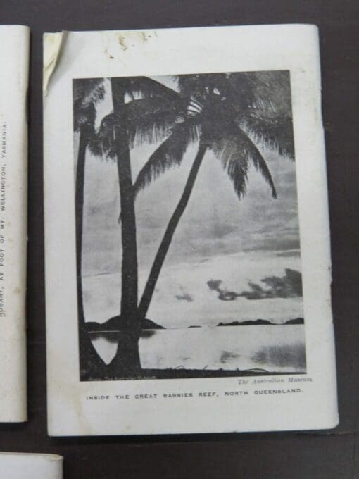 4x Union Steam Ship Company of New Zealand, pocket and other guide 1932, 1936, 1955 - Image 4