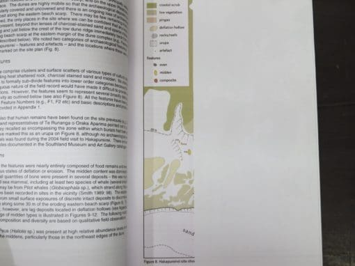 Richard Walter, Chris Jacomb, An Archaeological Survey of Hakapureirei (Sand Hill Point) - Image 4
