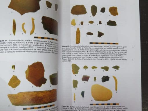 Richard Walter, Chris Jacomb, An Archaeological Survey of Hakapureirei (Sand Hill Point) - Image 3