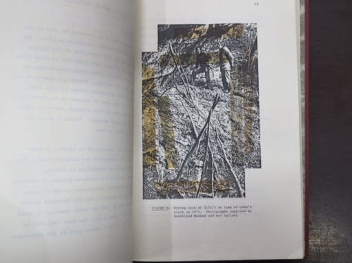 Deborah Foster, Wood Remains and Stone Tools : Prehistoric Woodworking Technology At Lee Island, Lake Te Anau - Image 4