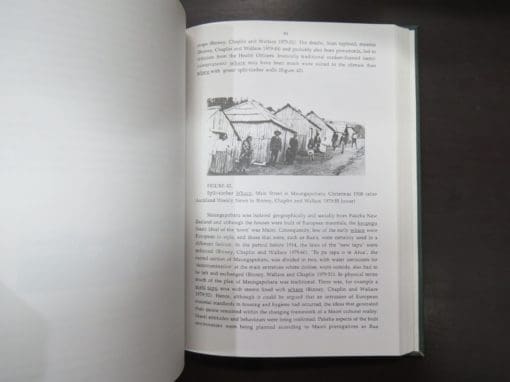 David Robert Martin, The Maori Whare After Contact - Image 6