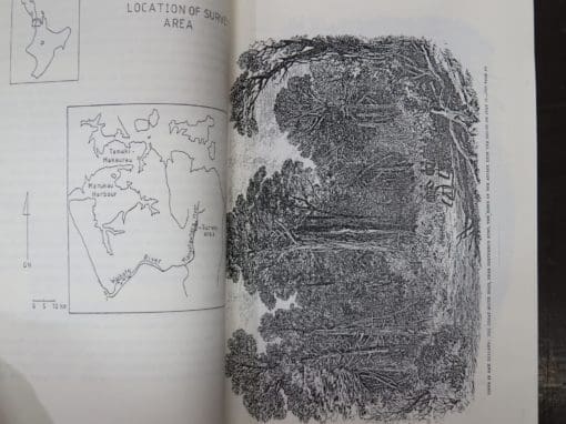 Brenda Sewell, Archaeological Survey of Moumoukai Valley, Hunua Ranges, South Auckland - Image 4