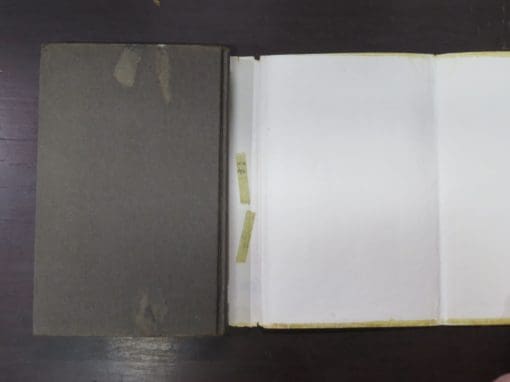 Richard Rayner, Darling Daughter - Image 3