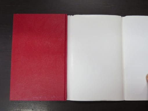 Robyn Gossett, The History of Mrs Pope Ltd - Image 3