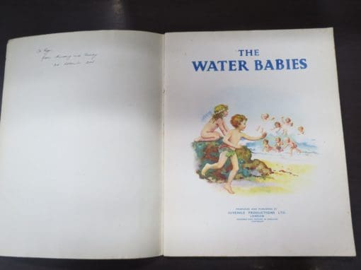 The Water Babies, Beautifully Illustrated In Colour - Image 9