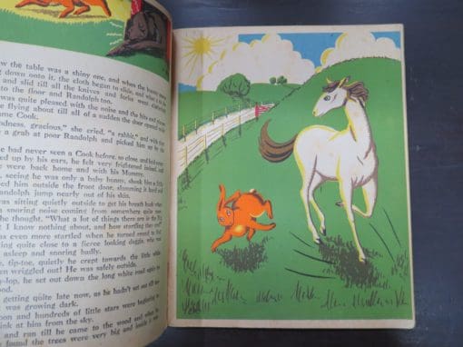 Joan Smith, Randolph, The Rabbit that ran away - Image 5