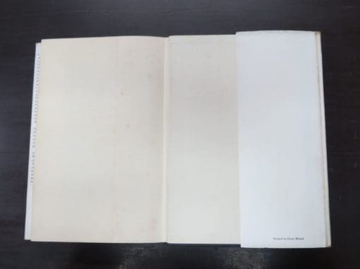 Swami Agehananda Bharati, The Ochre Robe - Image 4