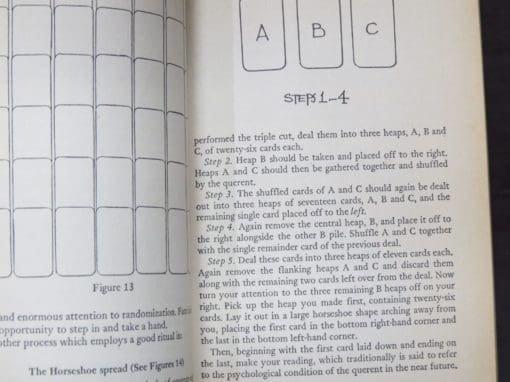 Paul Huson, The Devil's Picture Book: The Complete Guide to Tarot Cards: Their Origins and Their Usage, With Illustrations by the Author - Image 5