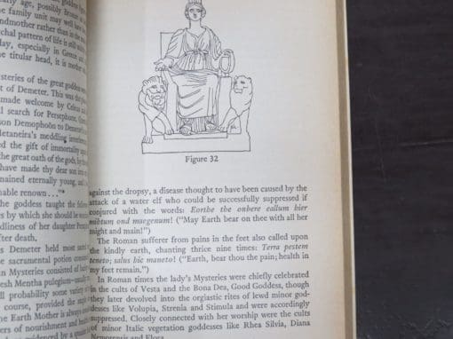 Paul Huson, The Devil's Picture Book: The Complete Guide to Tarot Cards: Their Origins and Their Usage, With Illustrations by the Author - Image 4