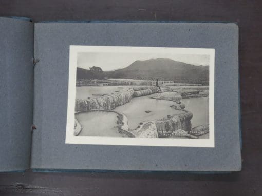 The Thermal Springs And Maori Belles, Muir and Moodie - Image 5