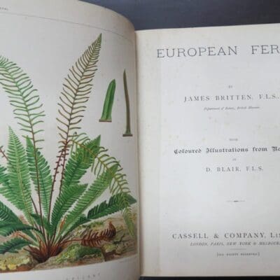 James Britten, European Ferns, Coloured Illustrations from Nature by D. Blair, Cassell and Company, London, Natural History, Science, Antiquarian, Dead Souls Bookshop, Dunedin Book Shop