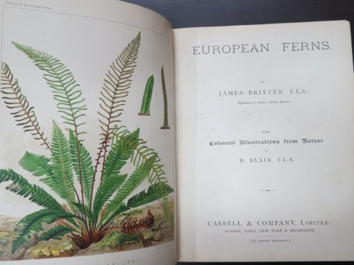 James Britten, European Ferns, Coloured Illustrations from Nature by D. Blair, Cassell and Company, London, Natural History, Science, Antiquarian, Dead Souls Bookshop, Dunedin Book Shop