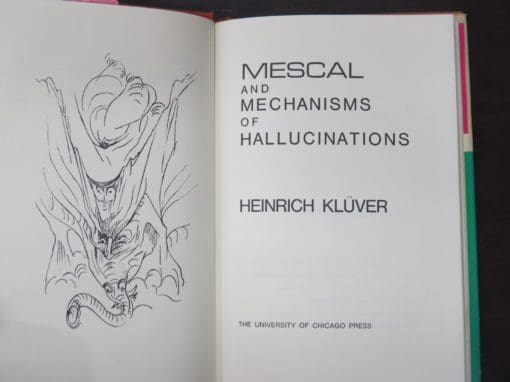 Heinrich Kluver, Mescal and Mechanisms of Hallucinations - Image 2