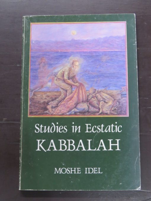 Moshe Idel, Studies in Ecstatic Kabbalah, State University Of New York Press, 1988, Occult, Religion, Esoteric, Philosophy, Dead Souls Bookshop, Dunedin Book Shop