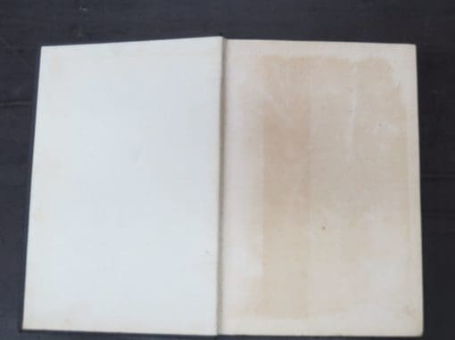Elizabeth Goodnow, The Soul Traders - Image 8