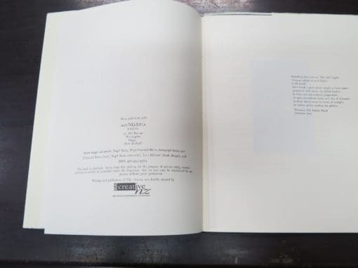 Richard Reeve, The Among, A Poem, illustrated by Nigel Bunn - Image 5